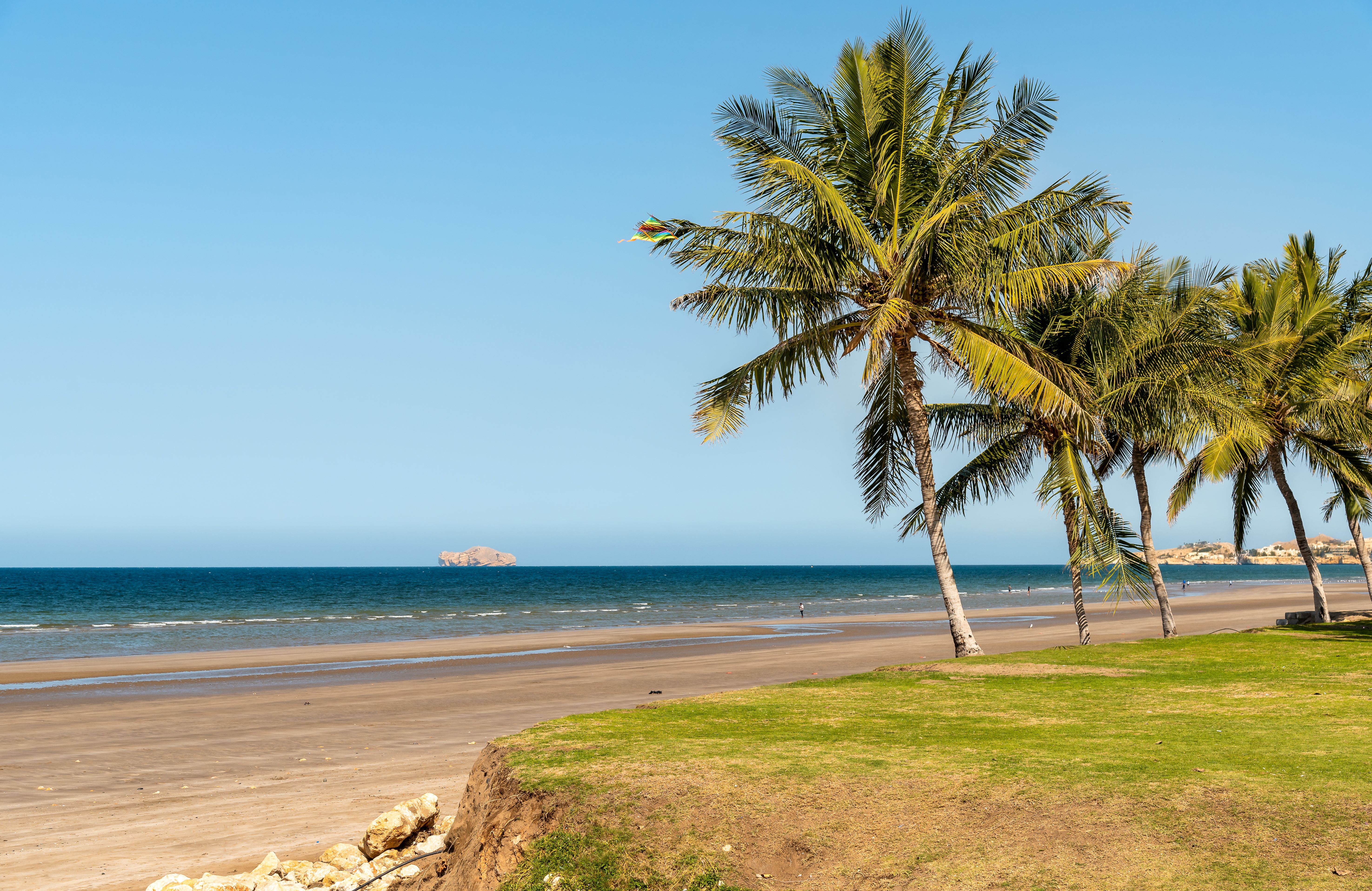 Beach with palm trees