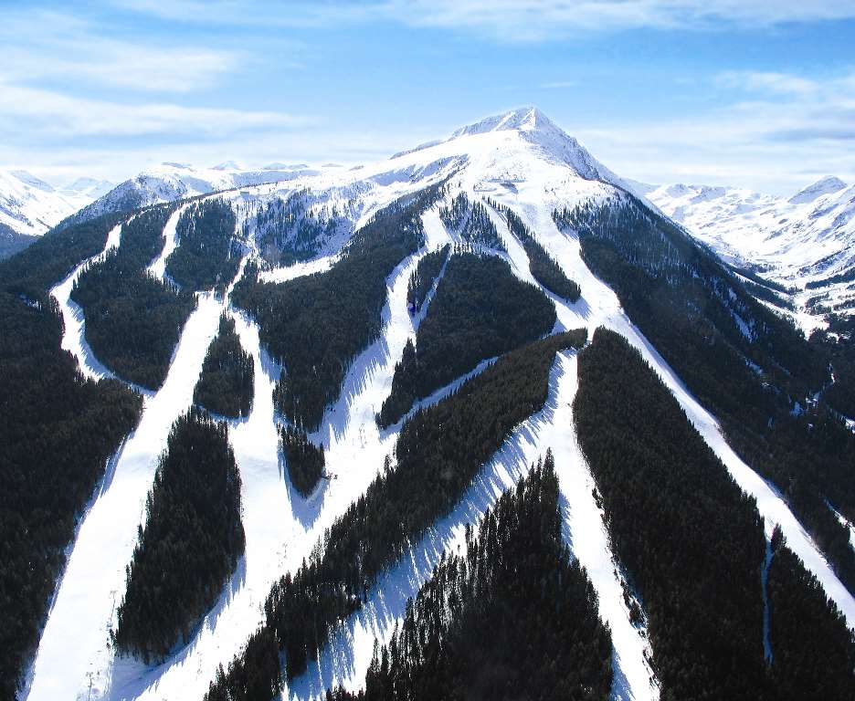 Pirin new arrivals