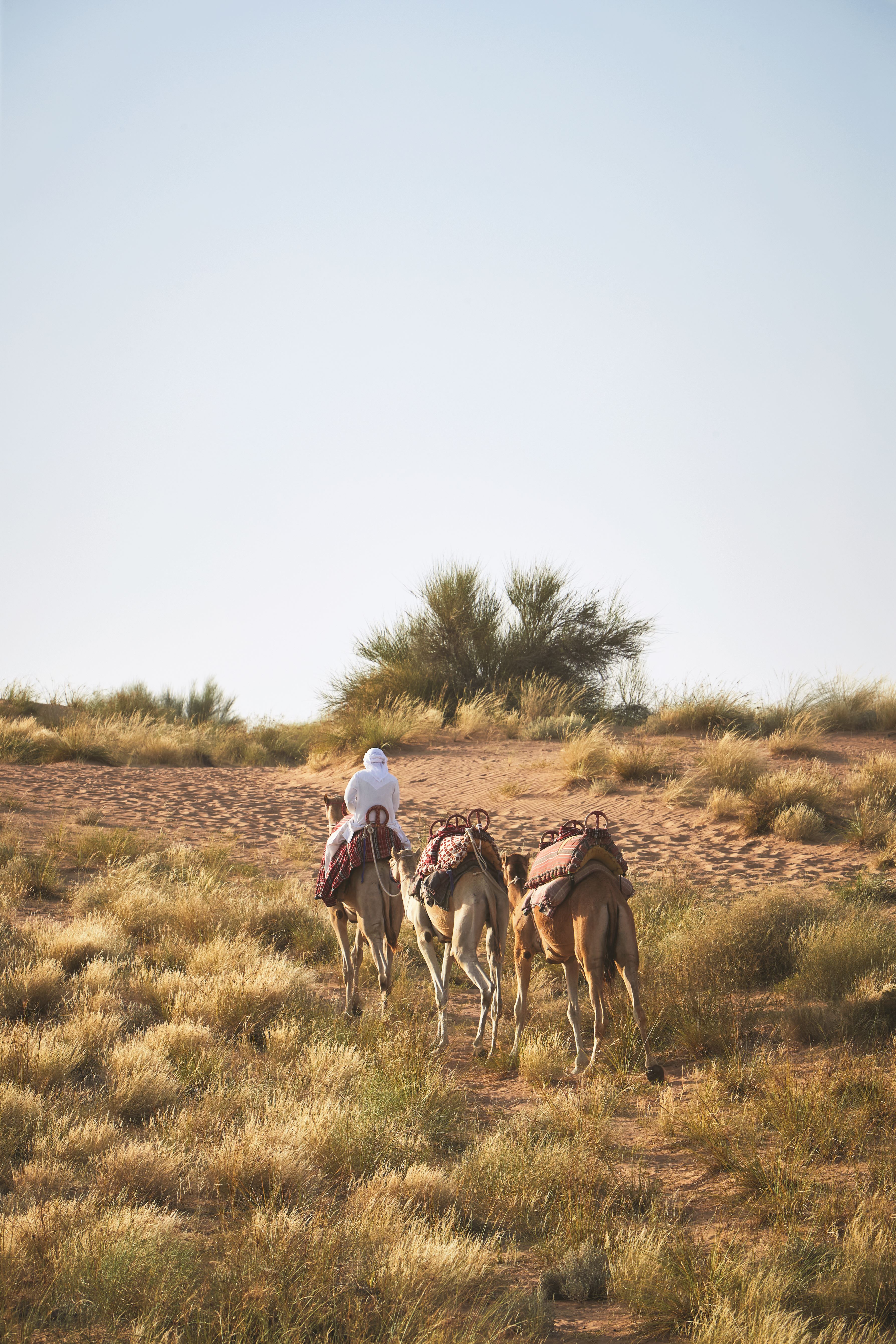 KempinskiTIS Dubai 24. 217.jpg