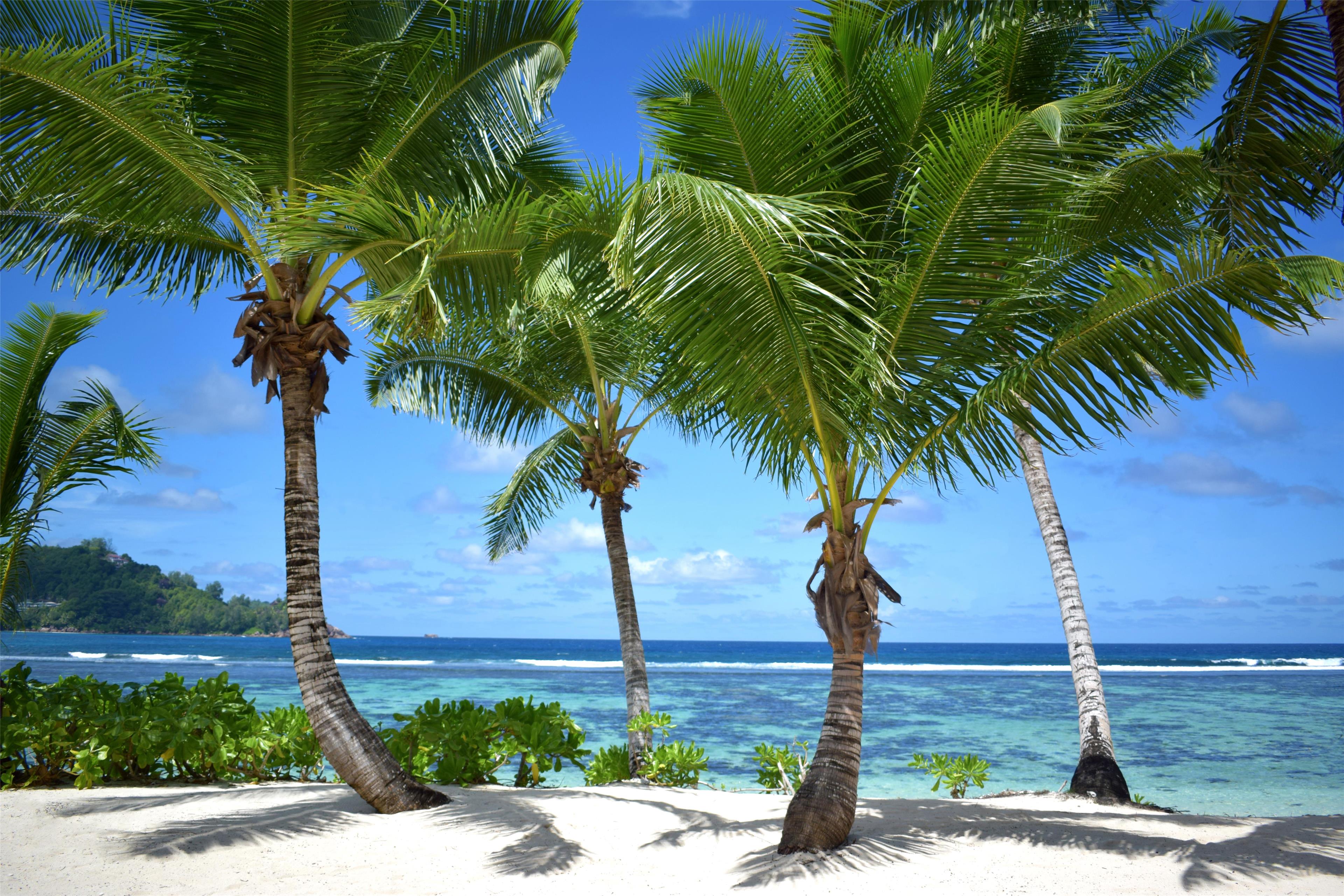 Kempinski Seychelles Resort Baie Lazare - Beach