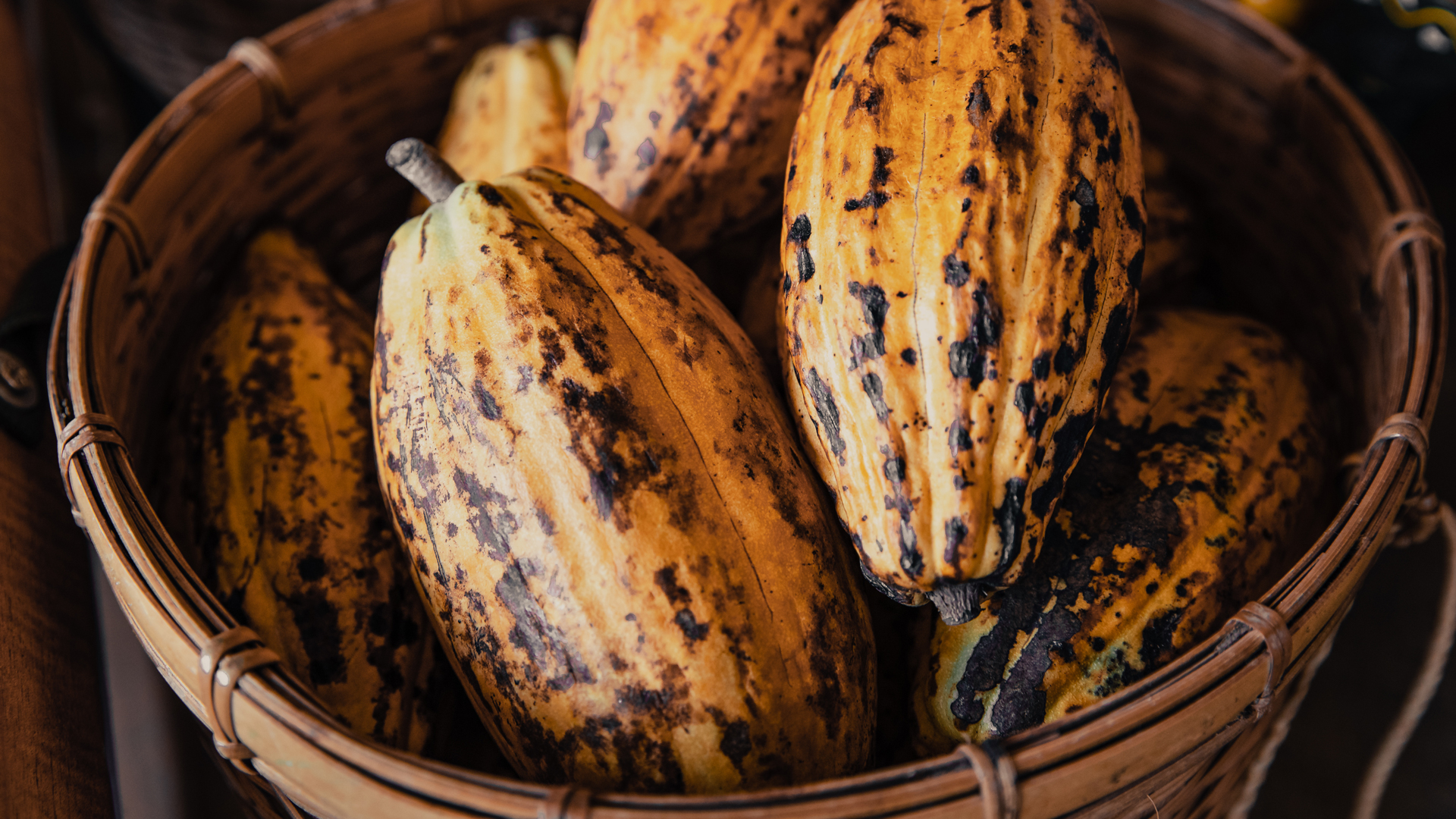 AdobeStock_514370849.jpg
