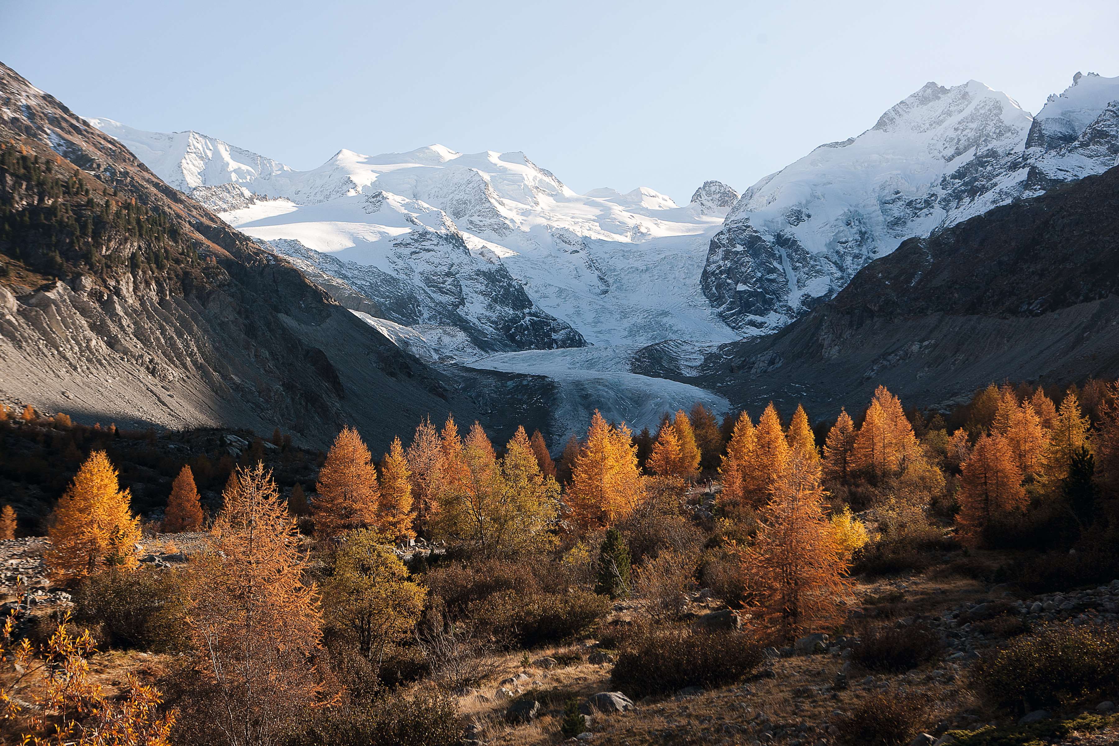 Nature Shots of Graubünden