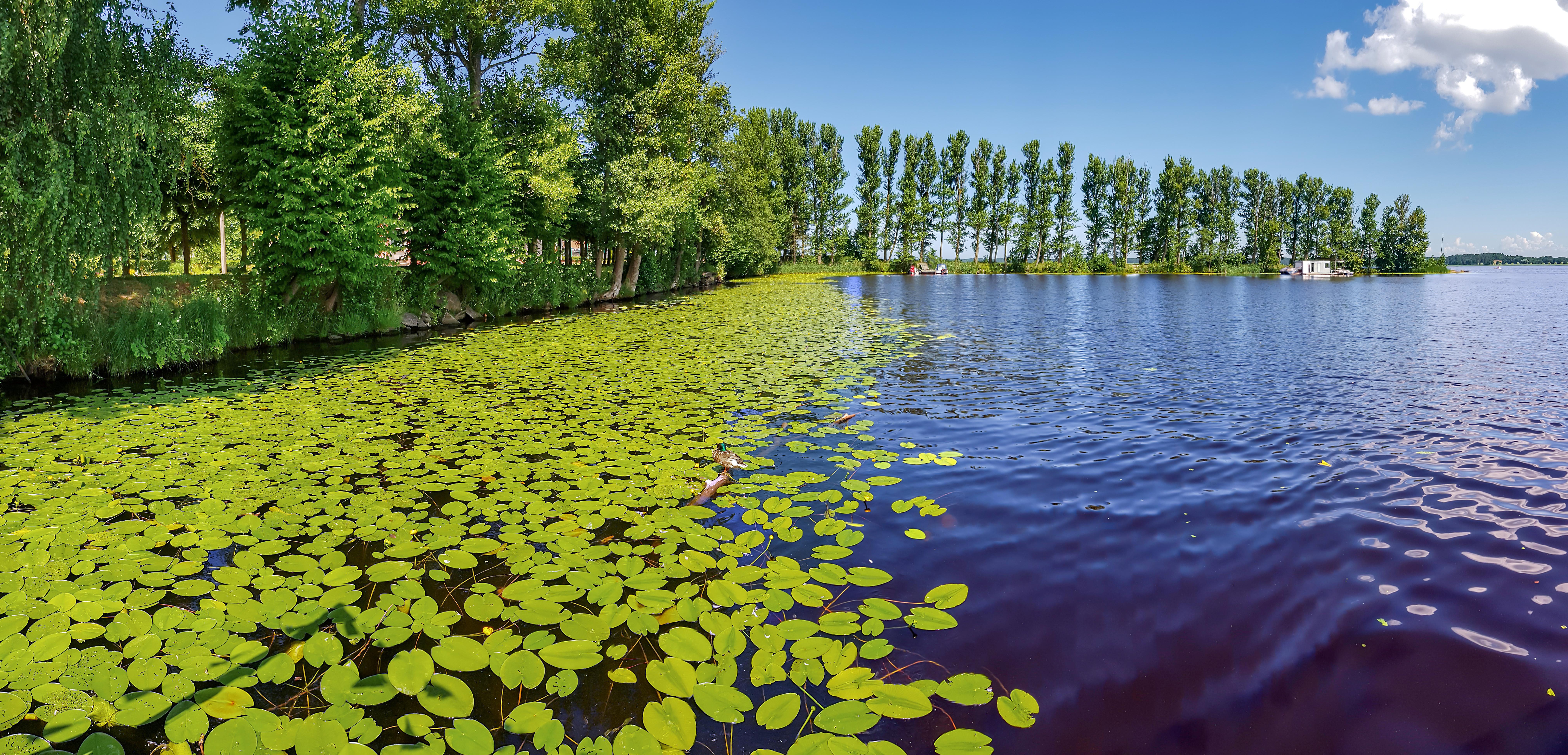 Kisezers Lake.jpg