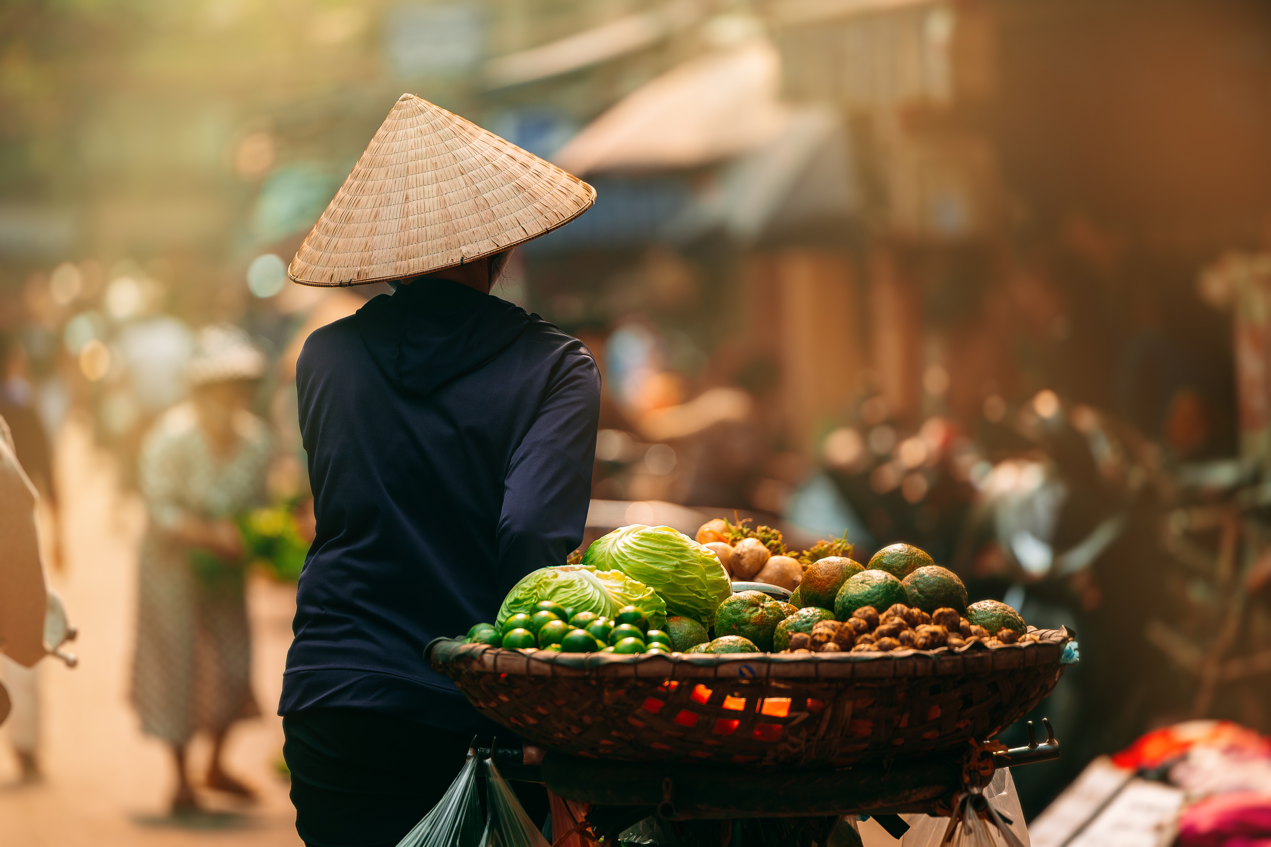 Hoi An market Vietnam.jpeg