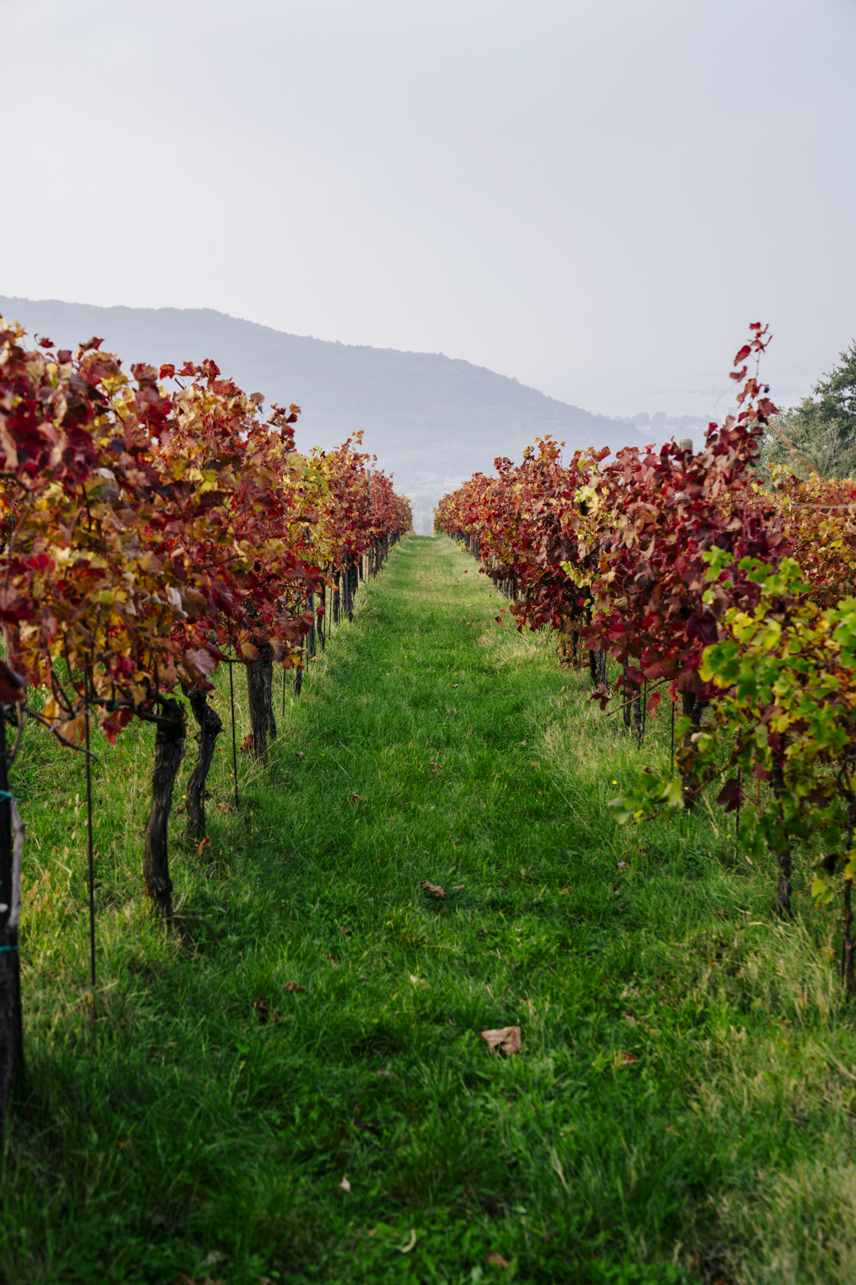 DSC01539 (1)_High Res_28827.jpg