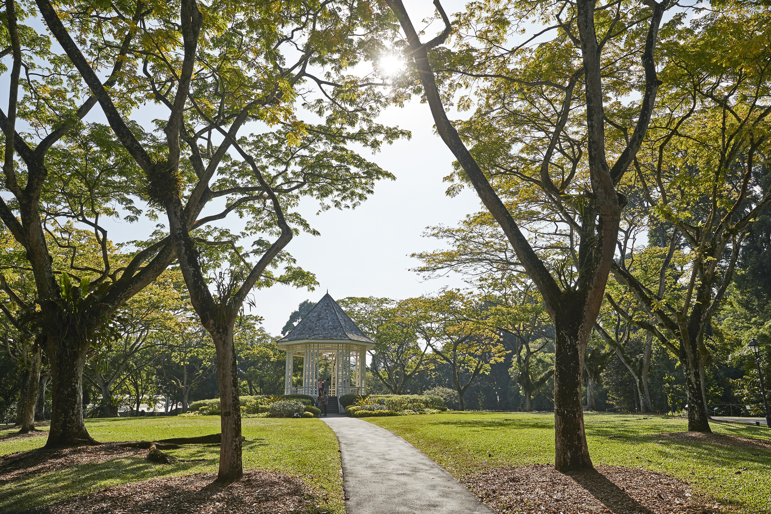 The Capitol Kempinski Hotel Singapore_Destination_Botanic Gardens_High Res_23708.jpg