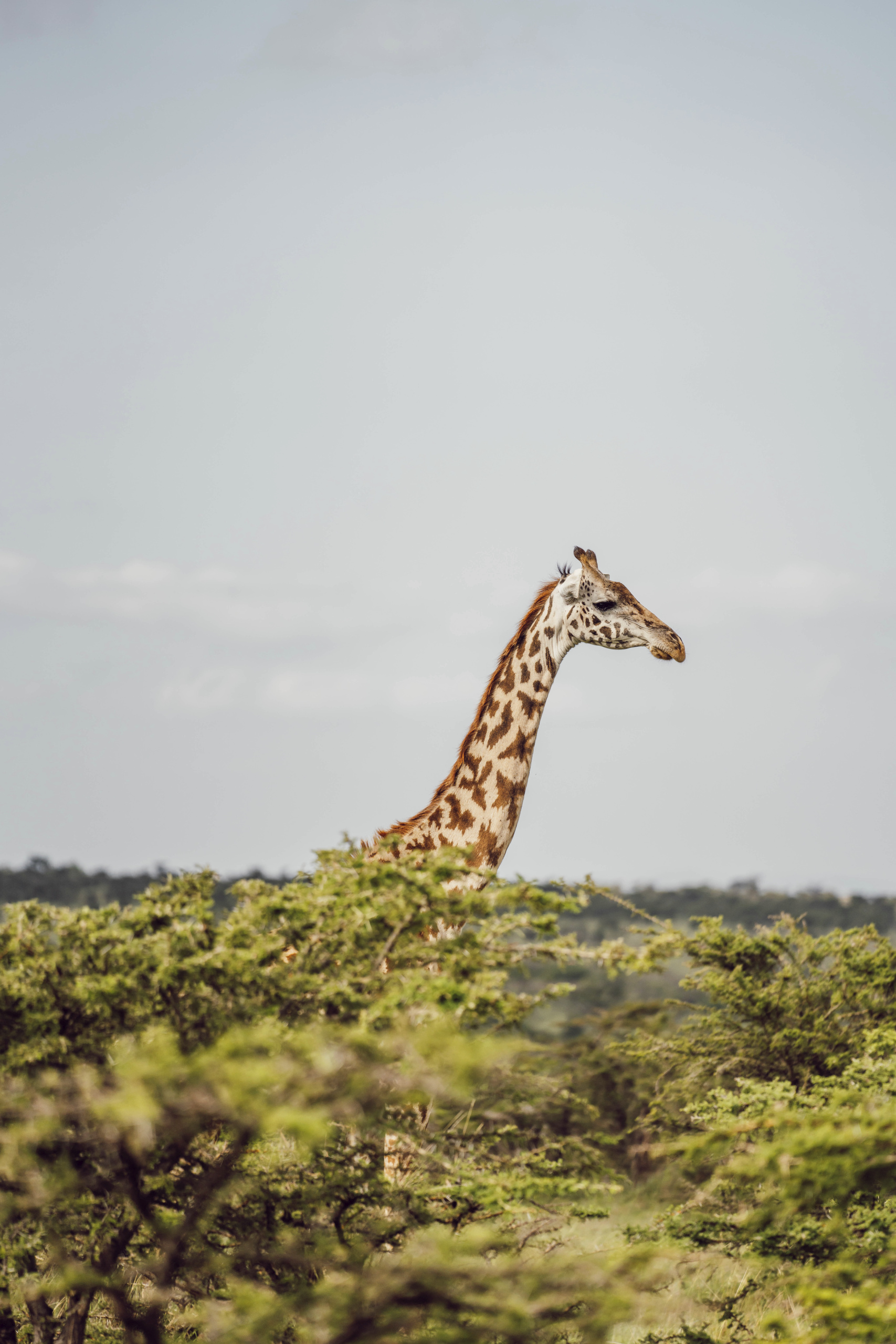 Carlin Meyer Influencer_High Res_33739.jpg