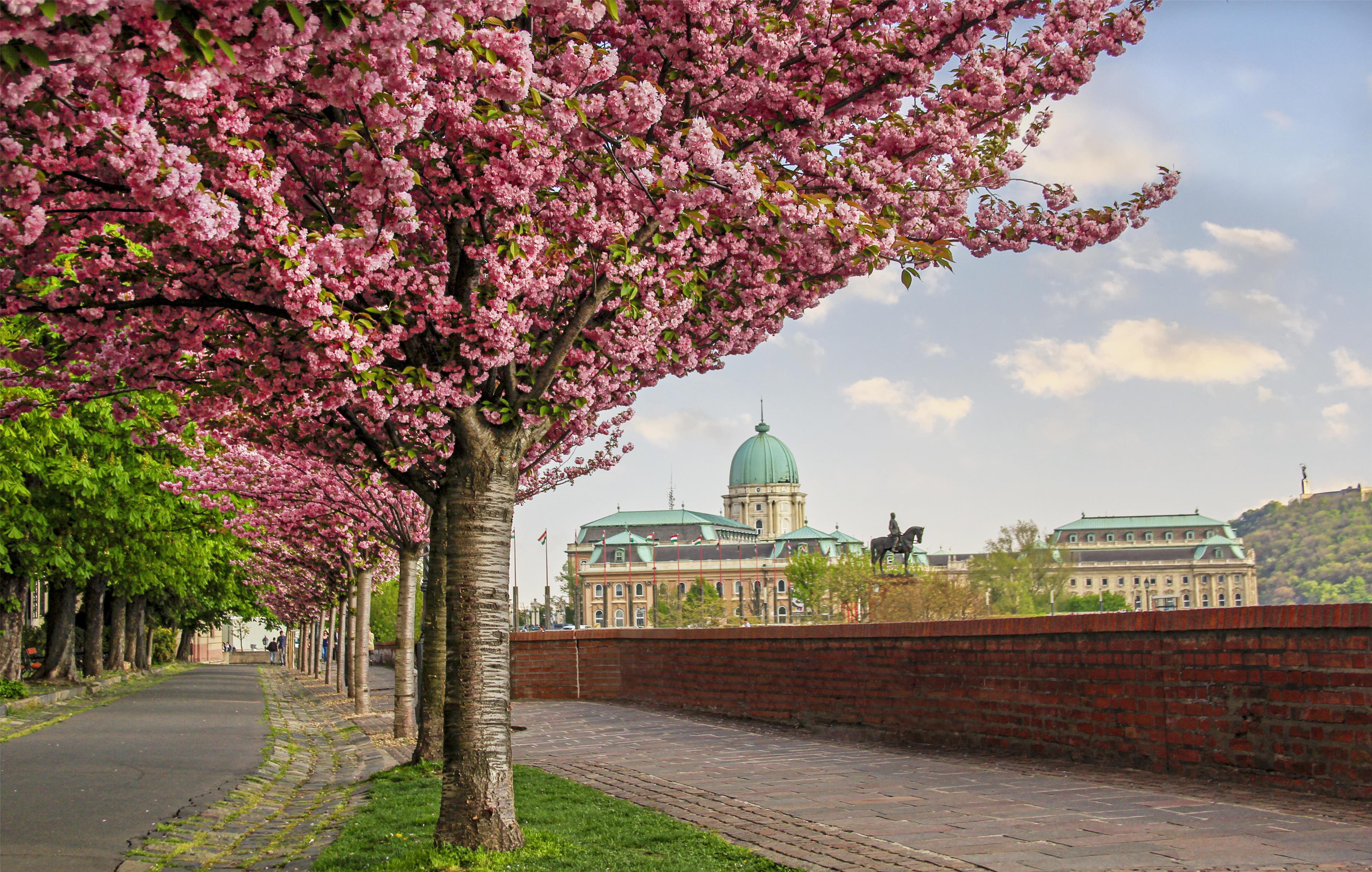 Spring in Budapest Hotel Offer - Kempinski Corvinus