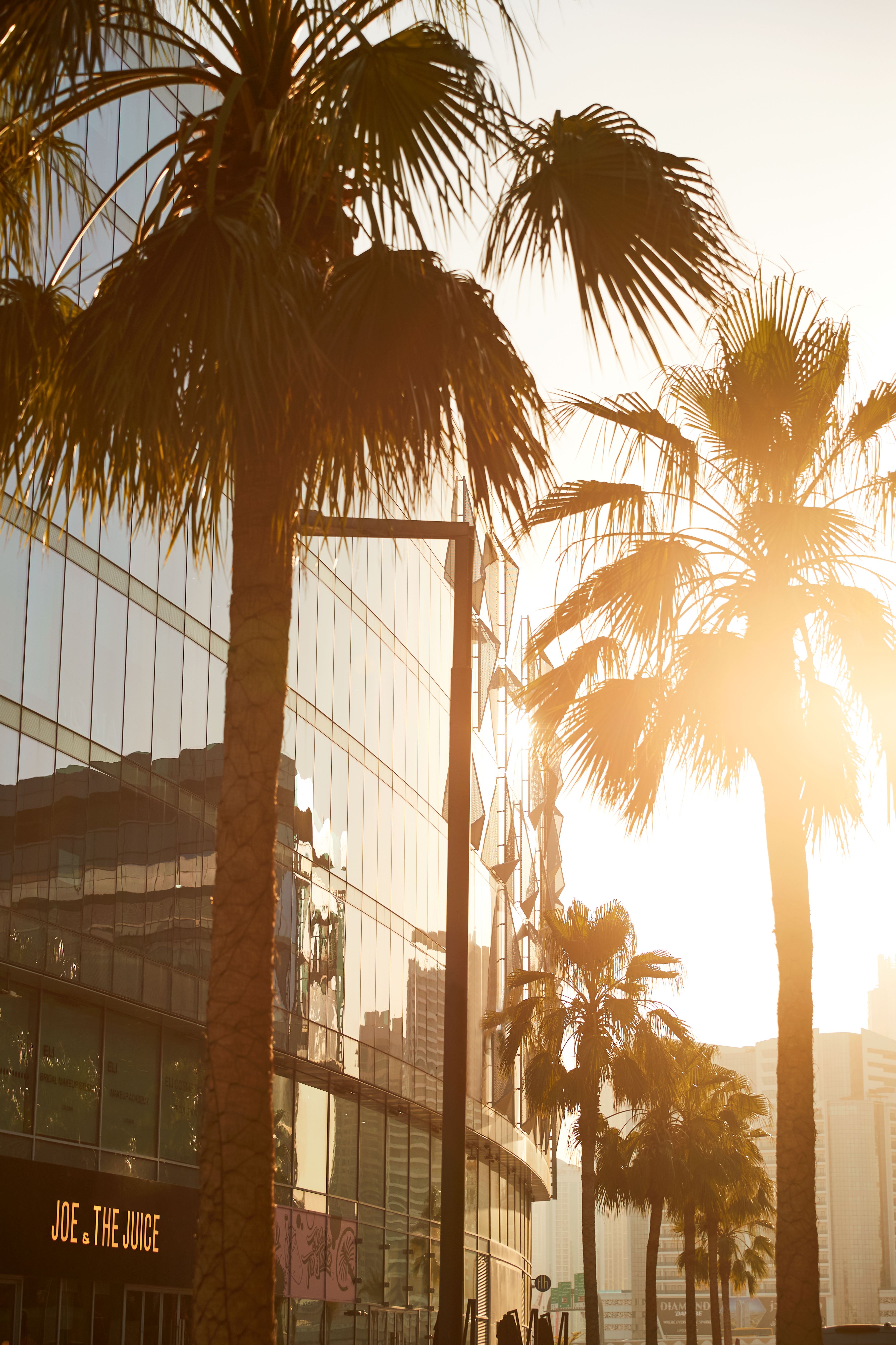 Design district Dubai