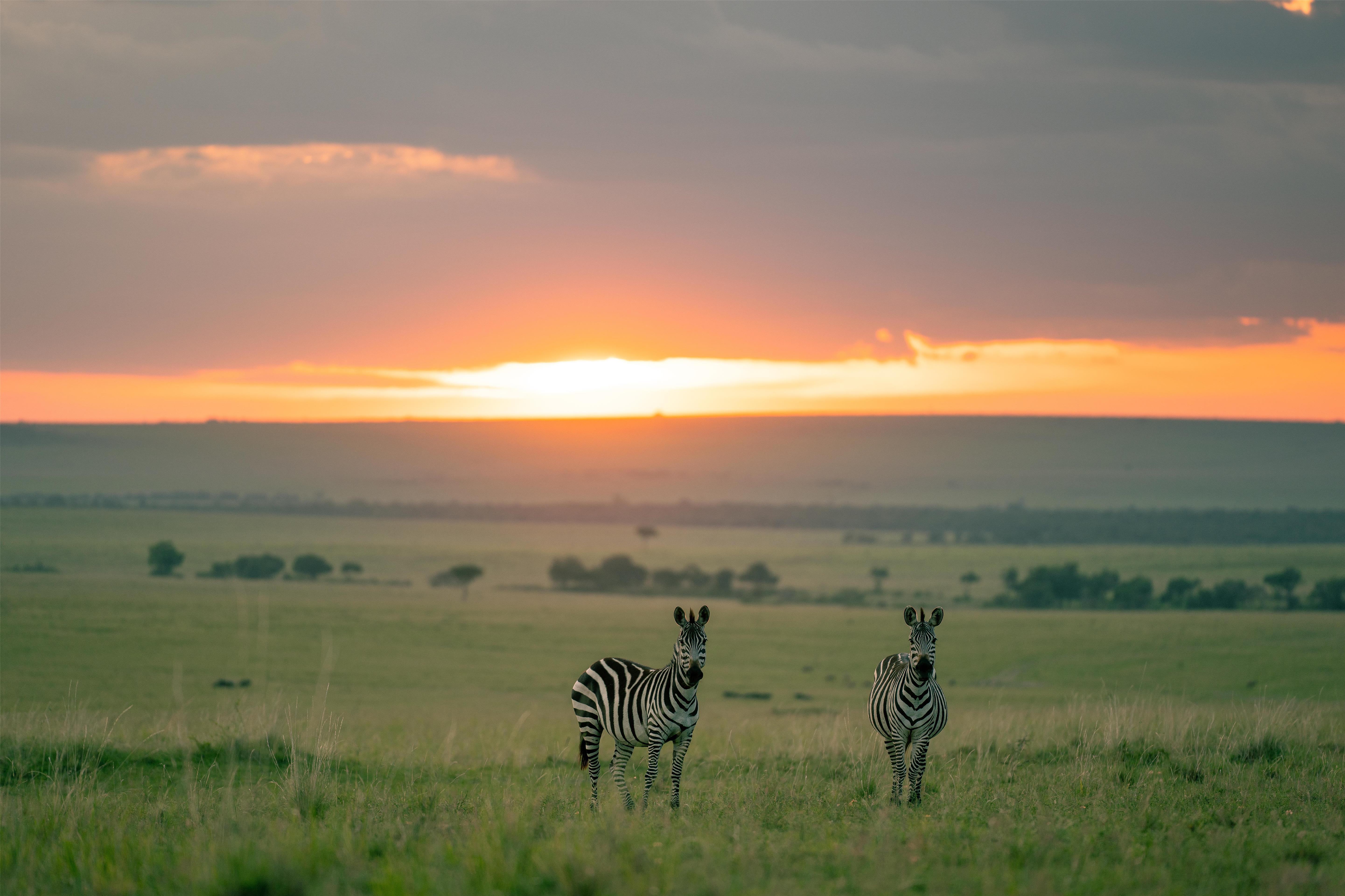 Olare Mara Kempinski, Masai Mara - Miscellaneous