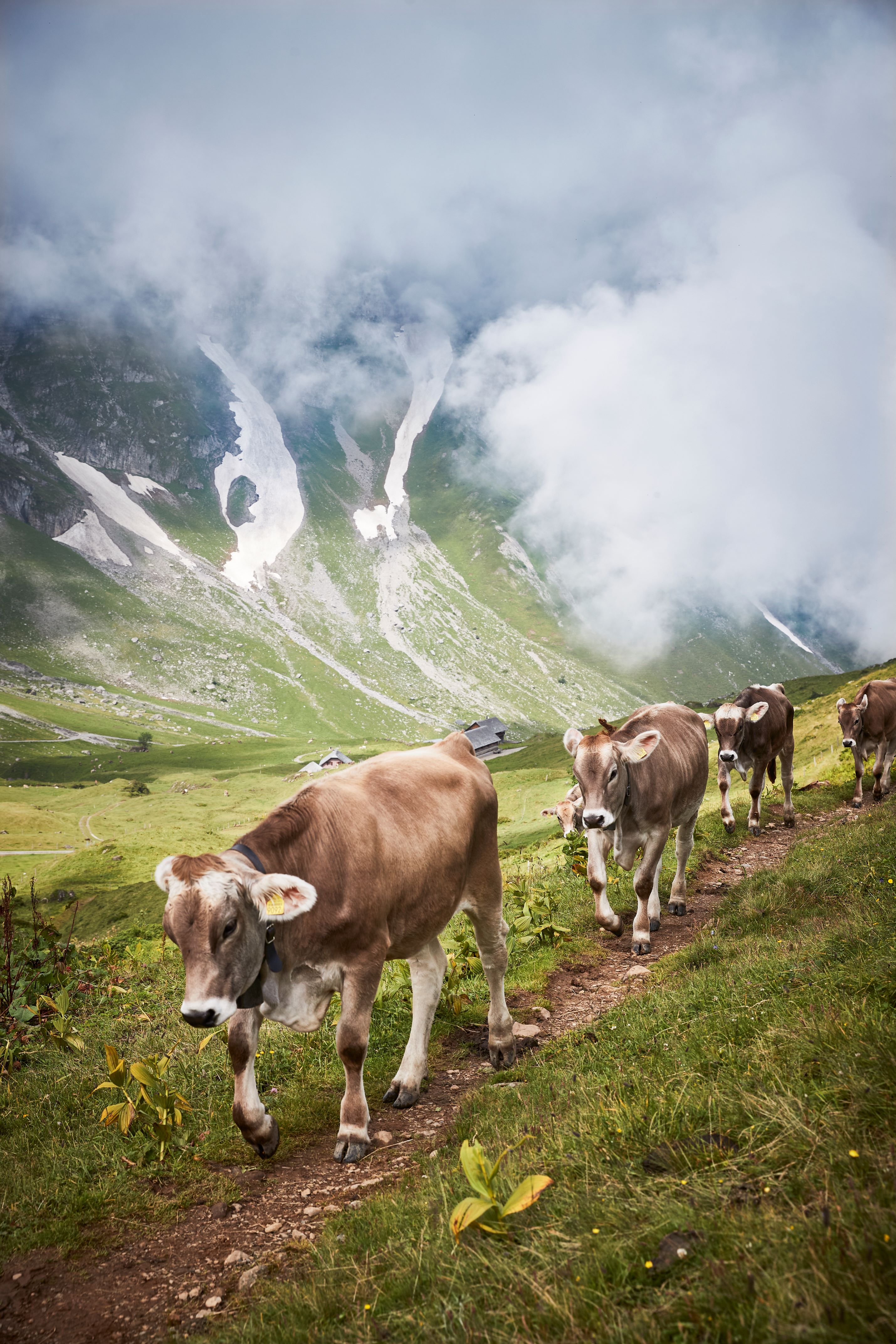 Kempinski Engelberg 127-CBP-ARTO-april 21.jpg