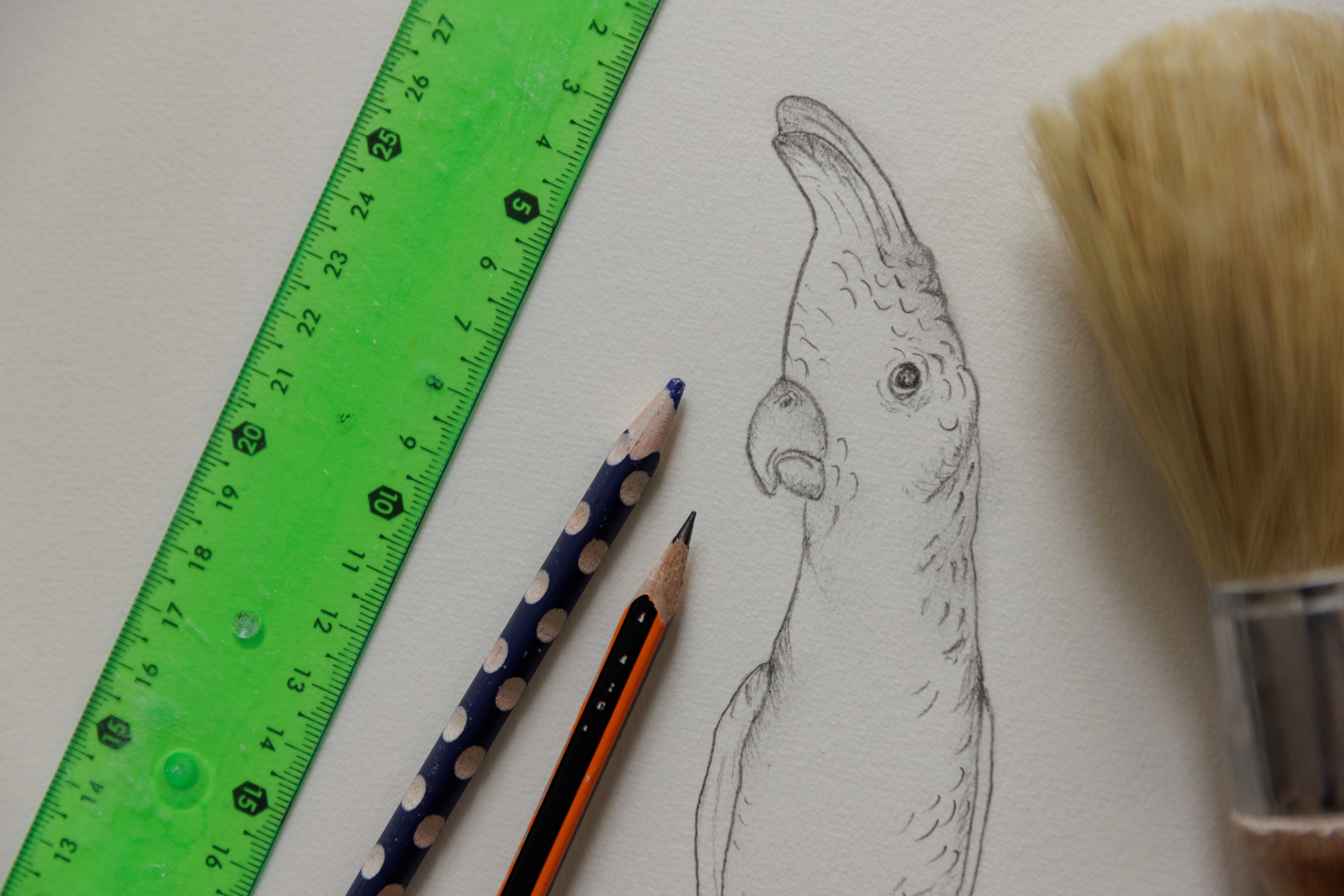 Kem_20250326_1841_45MP_JH10 (1).jpg