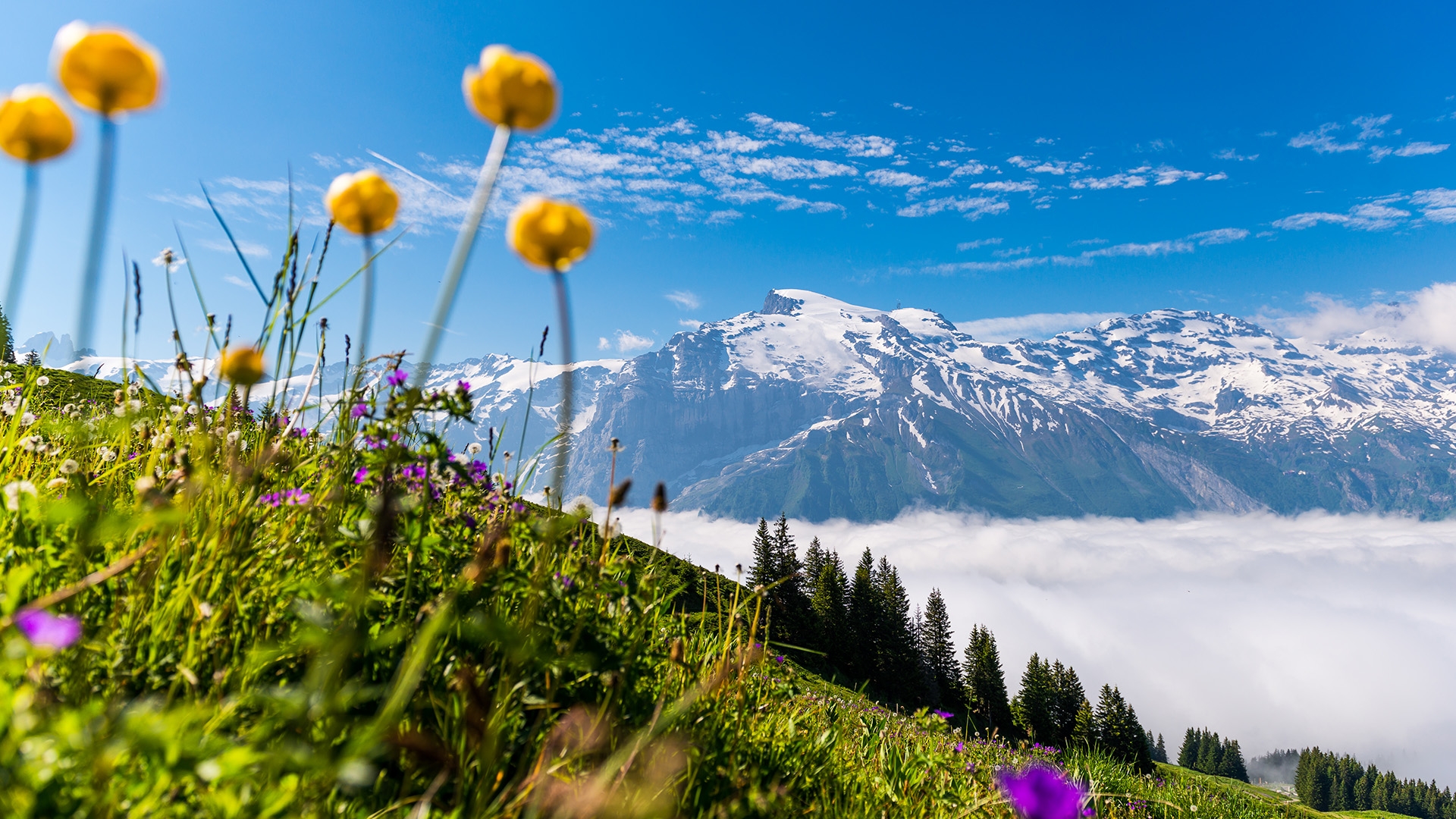 BXO1_Destination_35760_1920x1080px.jpg