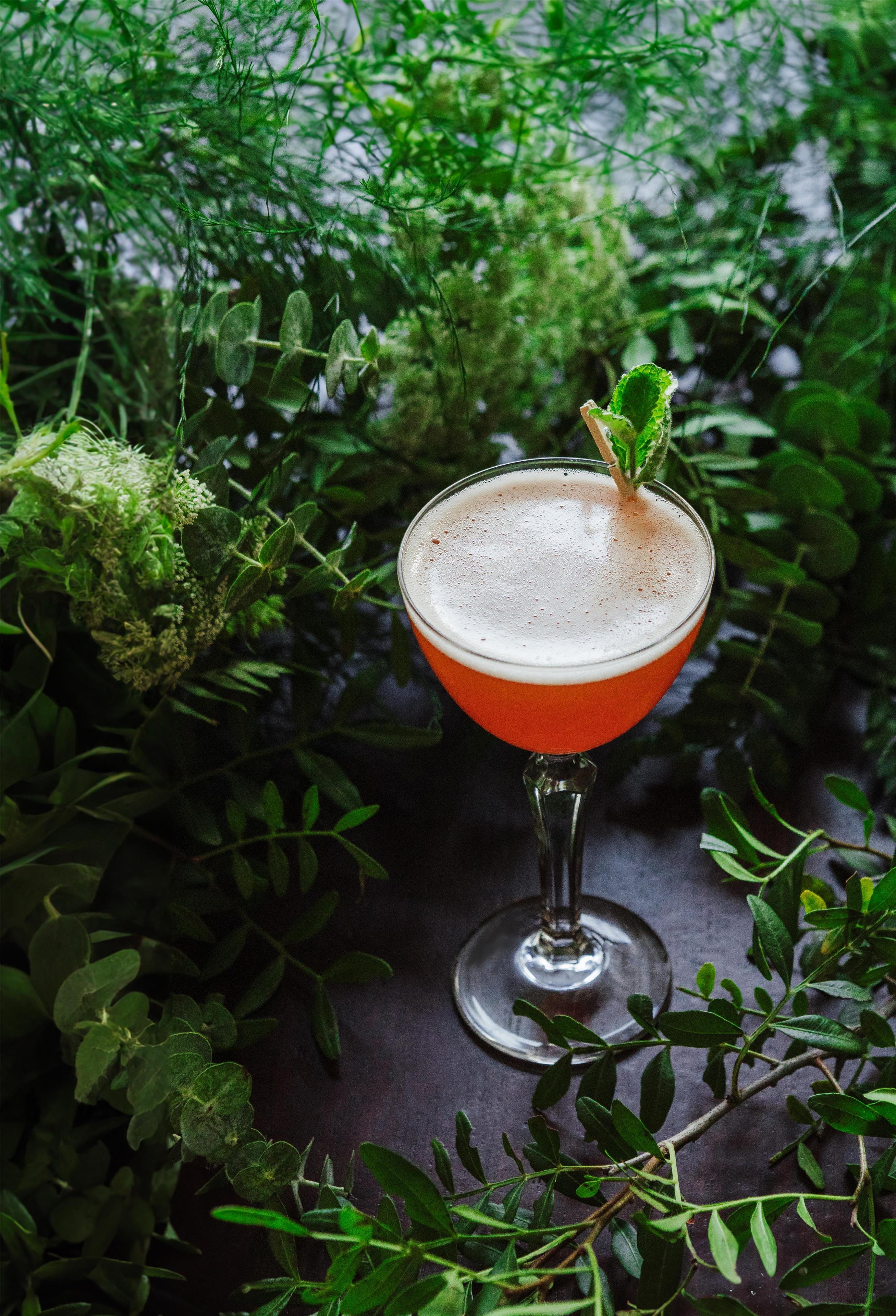 Blue Fox The Bar - Jasmine Fizz Cocktail